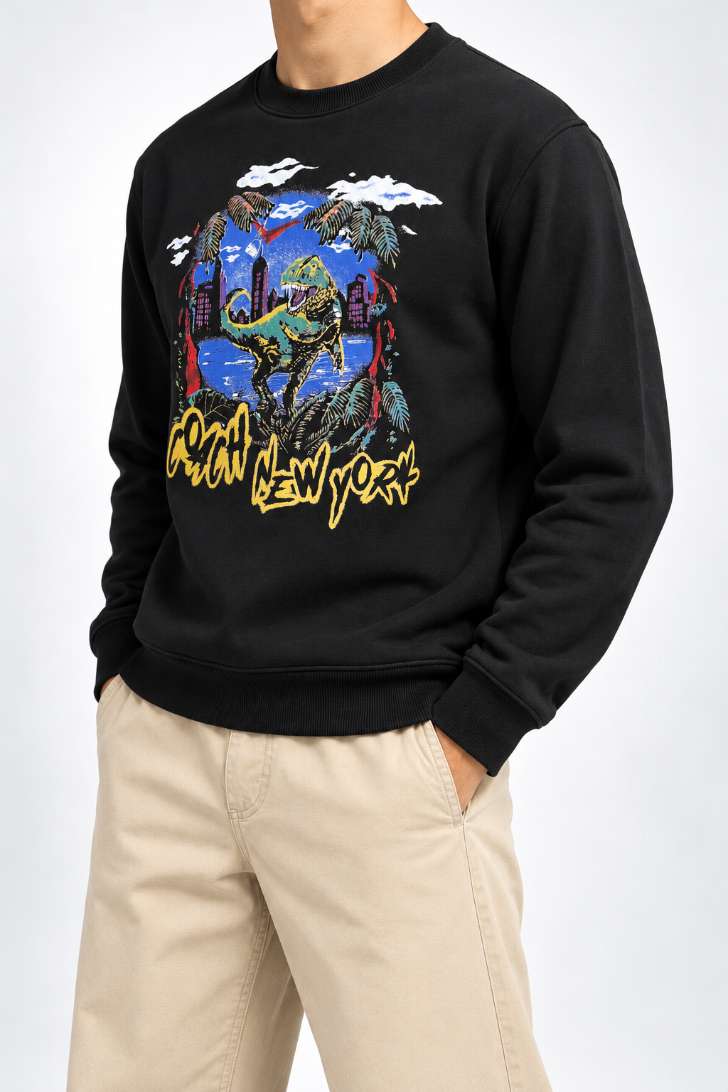 CCH — Black Dinosaur Graphic Crew-Neck Sweatshirt — side
