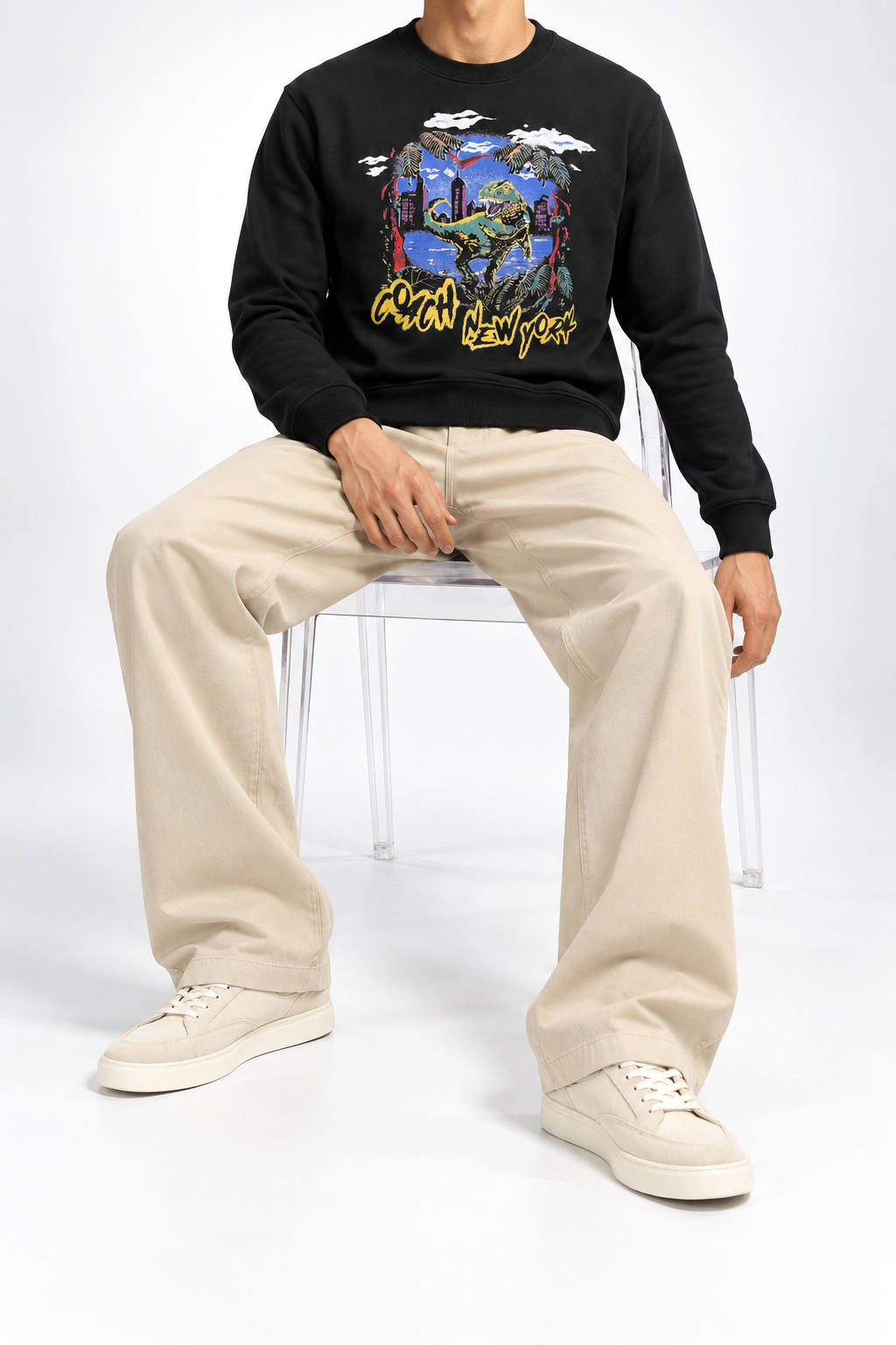 CCH — Black Dinosaur Graphic Crew-Neck Sweatshirt — additional
