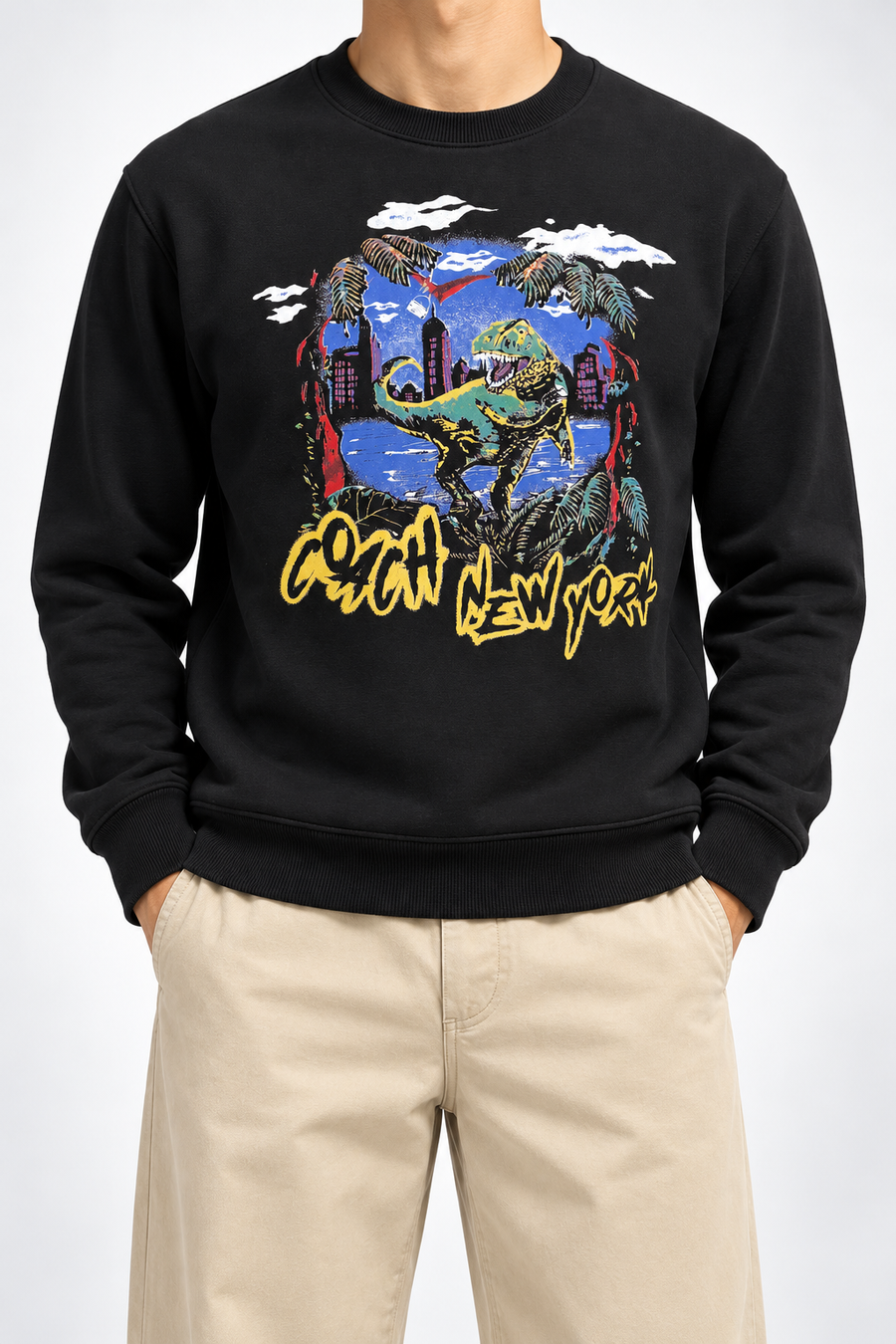 CCH — Black Dinosaur Graphic Crew-Neck Sweatshirt — additional